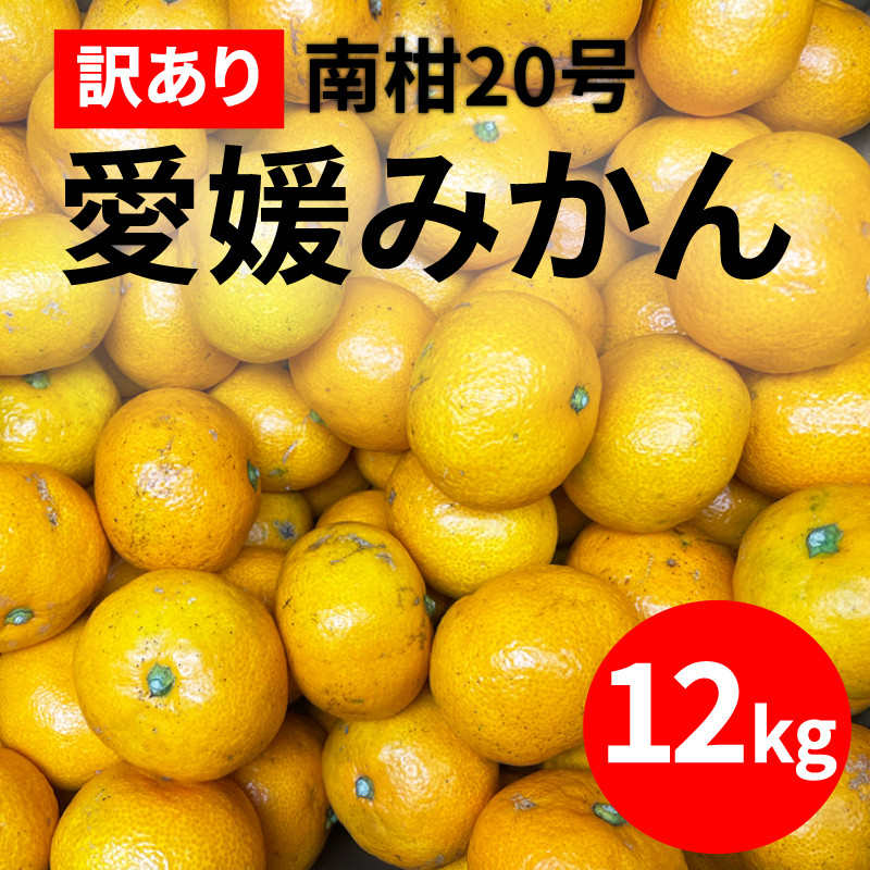 
訳あり 愛媛みかん 南柑20号 12kg みかん 蜜柑 果物 柑橘 フルーツ 傷 不揃い ゼリー ジュース ビタミンC 健康 美容 農園 直送 エニシトラス 愛媛県 愛南町 発送期間: 2024年12月上旬～12月末日(なくなり次第終了)
