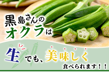 希少！黒島さんの採れたてオクラ100本セット（特別栽培、栽培期間中農薬不使用）3月～順次発送 OI-7