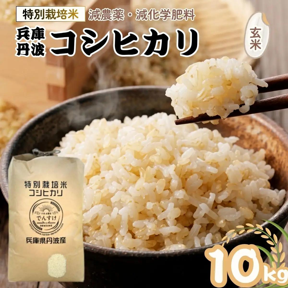 玄米 10kg 特別栽培米 丹波 コシヒカリ 玄米