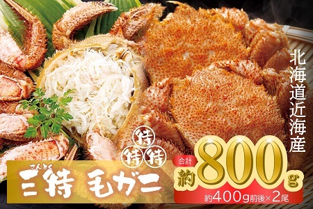 厳選3特品　北海道近海産毛ガニ400g前後×2杯_美味しいかに おいしいかに 人気のかに 八雲のかに 八雲町のかに 濃厚なかに 北海道のかに 新鮮 かに 冷凍 かに 三特 かに 厳選 かに 美味しいカニ おいしいカニ 人気のカニ 八雲のカニ 八雲町のカニ 濃厚なカニ 北海道のカニ 新鮮 カニ 冷凍 カニ 三特 カニ 厳選 カニ 美味しい蟹 おいしい蟹 人気の蟹 八雲の蟹 八雲町の蟹 濃厚な蟹 北海道の蟹 新鮮 蟹 冷凍 蟹 三特 蟹 厳選 蟹 美味しい毛ガニ おいしい毛ガニ 人気の毛ガニ 八雲の毛ガニ 八雲