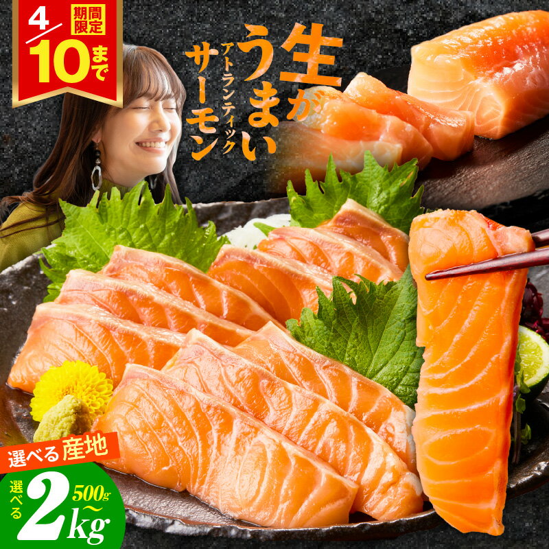 【高評価★4.71】アトランティックサーモン 刺身用 ポーション サーモン 鮭 小分け 真空パック ブロック 柵 魚 鮮度抜群 海鮮 魚介類 生食 カルパッチョ 食品 泉佐野市 お取り寄せ お取り寄せグルメ 冷凍 送料無料