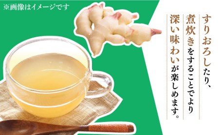 【2024年8月〜発送】 新生姜 約3kg / ショウガ南島原市 / ふくはちファーム/福島農園[SBS017]