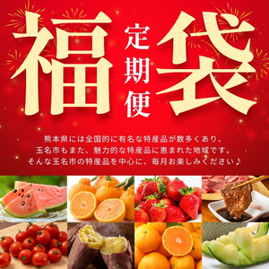 【 定期便 6回 】 熊本 福袋 |（ いちご みかん 不知火 デコポン スイカ メロン あか牛 牛肉 海苔 焼き海苔 馬肉 ユッケ ウインナー かんしょ さつまいも ） 肉 果物 フルーツ くだもの