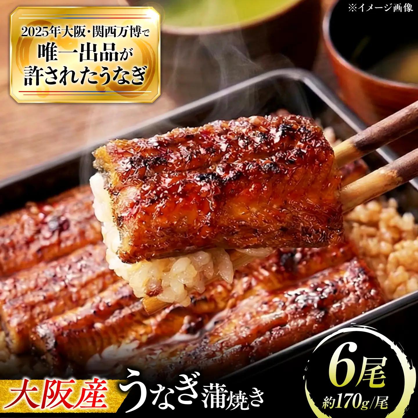 鰻 鰻の蒲焼 6尾 / 美陵鰻 鰻 うなぎ ウナギ 蒲焼 蒲焼き かば焼き かばやき 白焼き 白焼 しろやき しらやき 肉厚 うな重 うな丼 惣菜 おかず タレ 山椒 国産 スタミナ 土用 丑の日 土用の丑の日 贈答 ギフト / 大阪府藤井寺市/(株)れいわ水産[BLAL018]