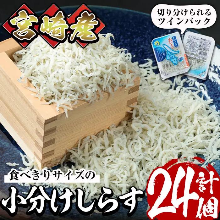 小分けしらすツインパック12個セット(計約600g・25g×2パック×12個)魚  冷凍  海鮮 【E-22】【株式会社 水永水産】