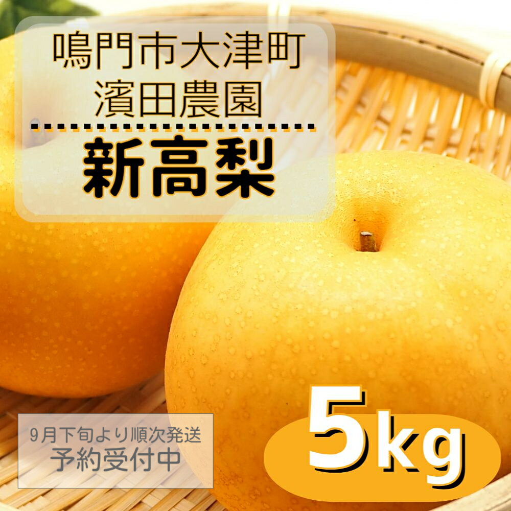 【ふるさと納税】濱田農園 新高梨 約5kg 【数量限定】【9月下旬より順次発送予約受付中】 徳島県産 梨の王様 和梨 豊水 幸水 国産 鳴門
