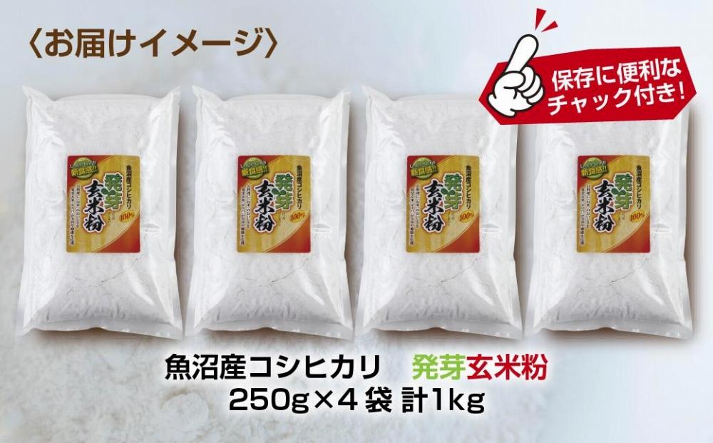 ES484 魚沼産 コシヒカリ 発芽玄米粉 250g×4袋 計1kg  玄米  グルテンフリー 小麦不使用 アレルギー GABA お取り寄せ 菓子 パン ケーキ ギフト 送料無料 コパフーズ 新潟県 