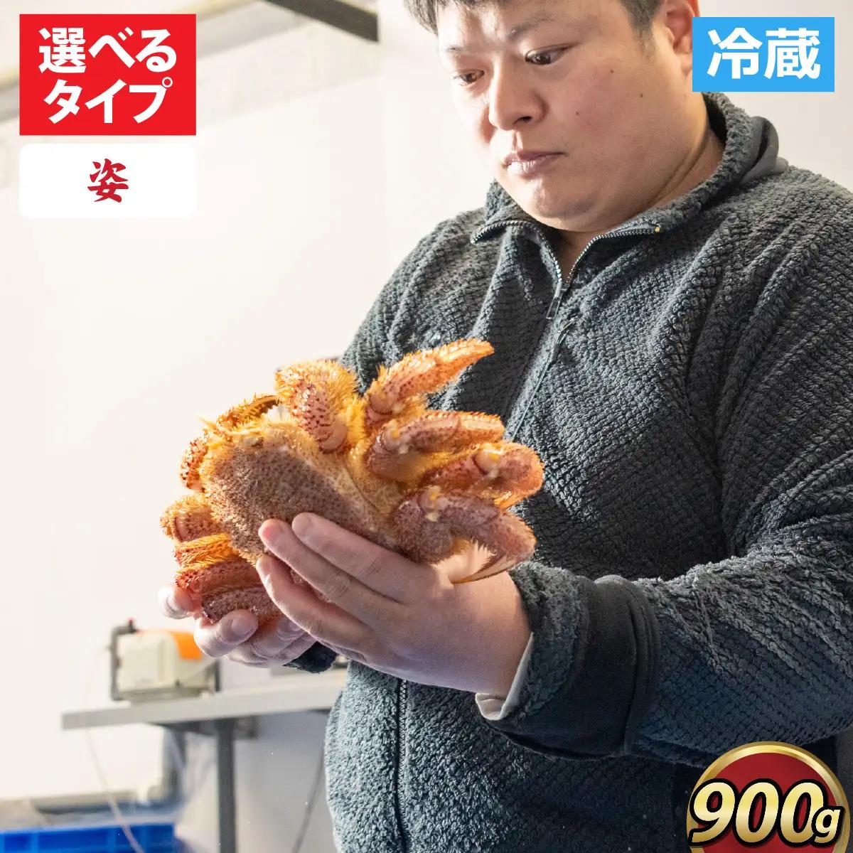 【姿】【成前特選】美味しさ直送！北陸産毛ガニ900ｇ前後×1杯（オス） [F-028009_01]