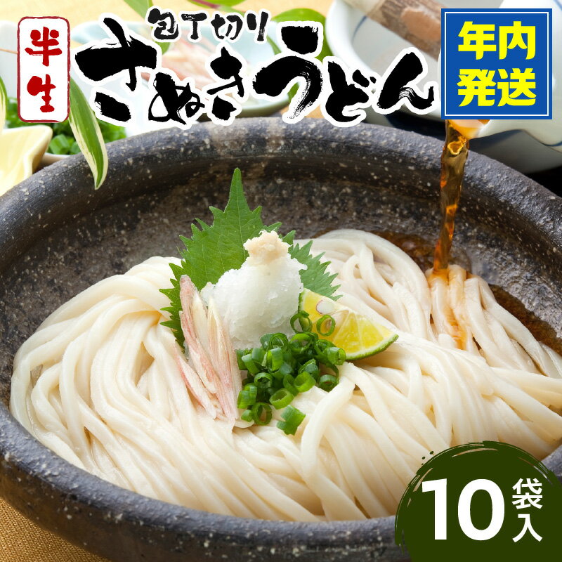 【ふるさと納税】包丁切りさぬきうどん半生10袋入 うどん つゆ おすすめ 人気 うどんセット セット 半生うどん 簡単調理 麺 麺料理 コシ アレンジ 料理 出汁 お取り寄せ かけうどん 釜揚げうどん グルメ 小分け ギフト 時短料理 アレンジ ふるさと 香川県 三木町 送料無料
