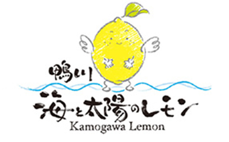 《１月発送》【皮まで食べられる】海と太陽のレモン【訳あり品-良品-】５kg（約40個） [0011-0058]