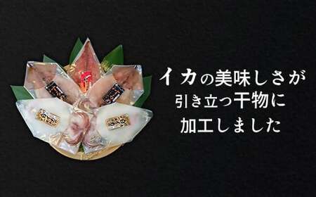 シロイカ入りイカの一夜干し食べくらべセット（Bセット）
