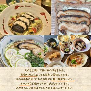 【先行予約：2025年11月以降順次発送】生 しいたけ 富富（とむとむ）約1kg さのさんち 椎茸 シイタケ 肉厚 ジューシー きのこ 静岡県 藤枝市 人気 野菜 旬 安心 安全 JGAP認証農場