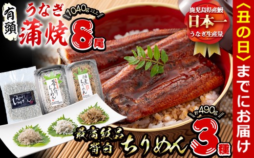 【丑の日までに配送】極うなぎ蒲焼130g以上×8尾(計1040g以上)+佃煮ちりめん90g+釜揚げちりめん100g×3個+ちりめん100g うなぎ 鰻 ウナギ 蒲焼 8尾 真空パック 鰻重 うな丼 ちりめん しらす ちりめんじゃこ e7-020-us