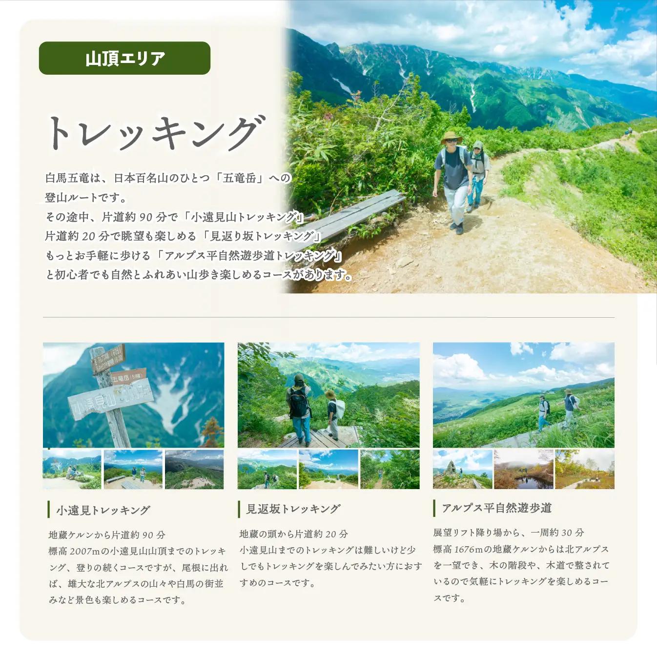 【体験チケット】白馬五竜パノラマセット ゴンドラ往復乗車券 大人1名様 / 長野県白馬村
