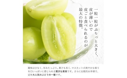 厳選 シャインマスカット 約2kg 3〜5房《2025年9月上旬-11月中旬頃に出荷予定》 ぶどう 種なし ぶどう 岡山 ぶどう 先行予約 ぶどう シャインマスカット 大粒 シャインマスカット 晴王 