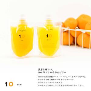 【14個7種類】愛媛みかんゼリー ギフトセット 10 FACTORY | 口溶け なめらか 果汁 使用 果肉入り 濃厚 みかん フルーツ 柑橘 果物 果実 加工品 冷凍 シャーベット 子供 大人 国産