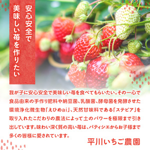 ★予約受付★平川いちご農園 佐賀県玄海町産いちご「いちごさん」2025年1月～4月順次配送【D024】