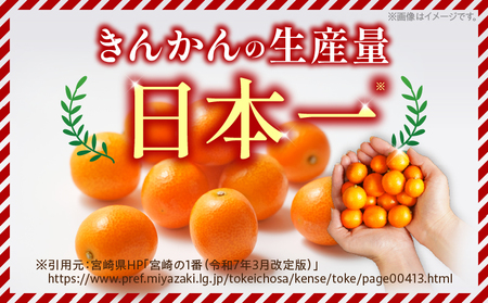 先行予約 完熟きんかん たまたま 計1kg以上 (1kg×1箱) 希少 期間限定 数量限定 フルーツ 果物 くだもの 柑橘 金柑 国産 食品 大粒 宮崎ブランド おすすめ デザート おやつ ギフト 贈