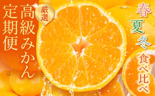 みかん 全3回 高級みかん 食べ比べ定期便 春 夏 冬 甘い ハウスみかん ミカン 蜜柑 mikan せとか 完熟 セトカ フルーツ 果物 旬 みかん 全3回 みかん 全3回 みかん 全3回 みかん 全3回 みかん 全3回 みかん 全3回 みかん 全3回 みかん 全3回 みかん 食べ比べ定期便 みかん 食べ比べ定期便 みかん 豊橋 みかん 豊橋 みかん 食べ比べ定期便 みかん 豊橋 みかん 豊橋
