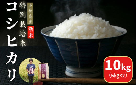 【2026年9月順次発送】 令和8年産 白米 コシヒカリ 10kg（5kg×2） 特別栽培米 健康 安心 安全   四国 徳島 小松島 送料無料  米 おいしい kome お米 こめ おこめ こしひかり 白米 精米 国産 ごはん ご飯 白飯 ゴハン 人気 コスパ おすすめ ふるさと TKG 卵かけご飯 おにぎり おむすび うめ 鮭 海苔