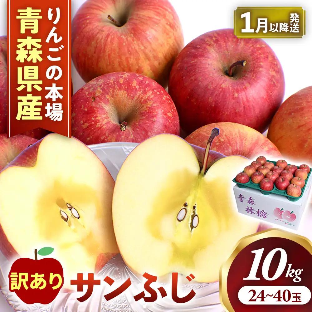 【訳あり】 大容量 青森県産りんご 1月～ サンふじ 10kg りんご