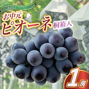 【お中元 熨斗付】ピオーネ 桐箱入り 1房 ＜2026年8月より順次発送予定＞ (県内共通返礼品:かすみがうら市産) 先行予約 ギフト 贈答 ぶどう ブドウ 葡萄 フルーツ 茨城 新鮮 (BR110)