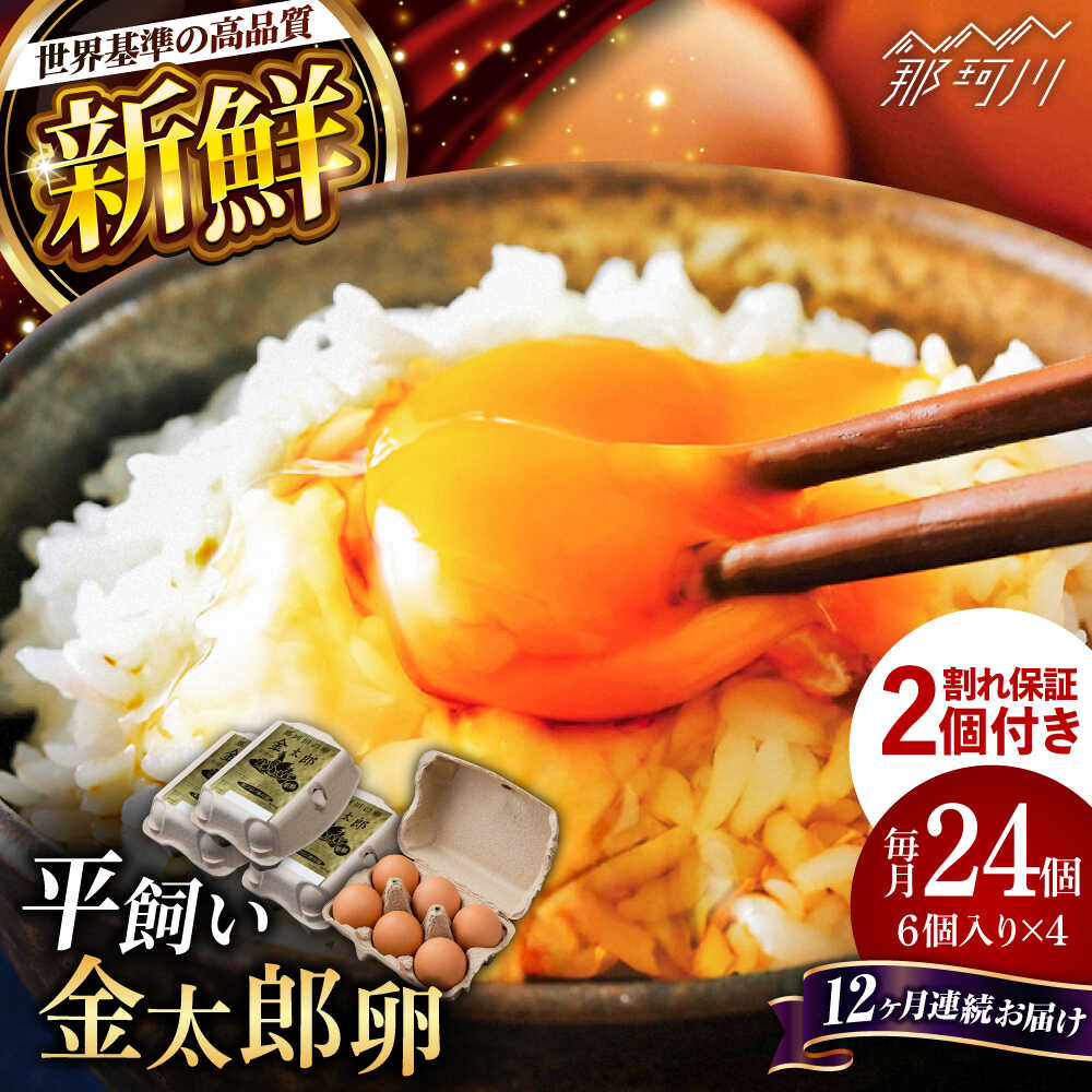 【ふるさと納税】【12回定期便】【TVで紹介！】【鮮度AA級の世界最高ランク！】金太郎卵 たまご 定期便 平飼い 卵 朝食 卵かけごはん おすすめ 赤卵 24個（6個×4パック）＜有限会社フジノ香花園＞那珂川市[GAM035]