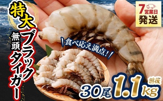 特大 ブラックタイガー 無頭えび 1.1kg前後 （30尾） 【入金確認後7営業日以内に発送】 剥き海老 剥きえび むき海老 むきえび むきエビ むき身 海鮮 海産物 魚介類 甲殻類 海の幸 疲労回復 大阪府 阪南市