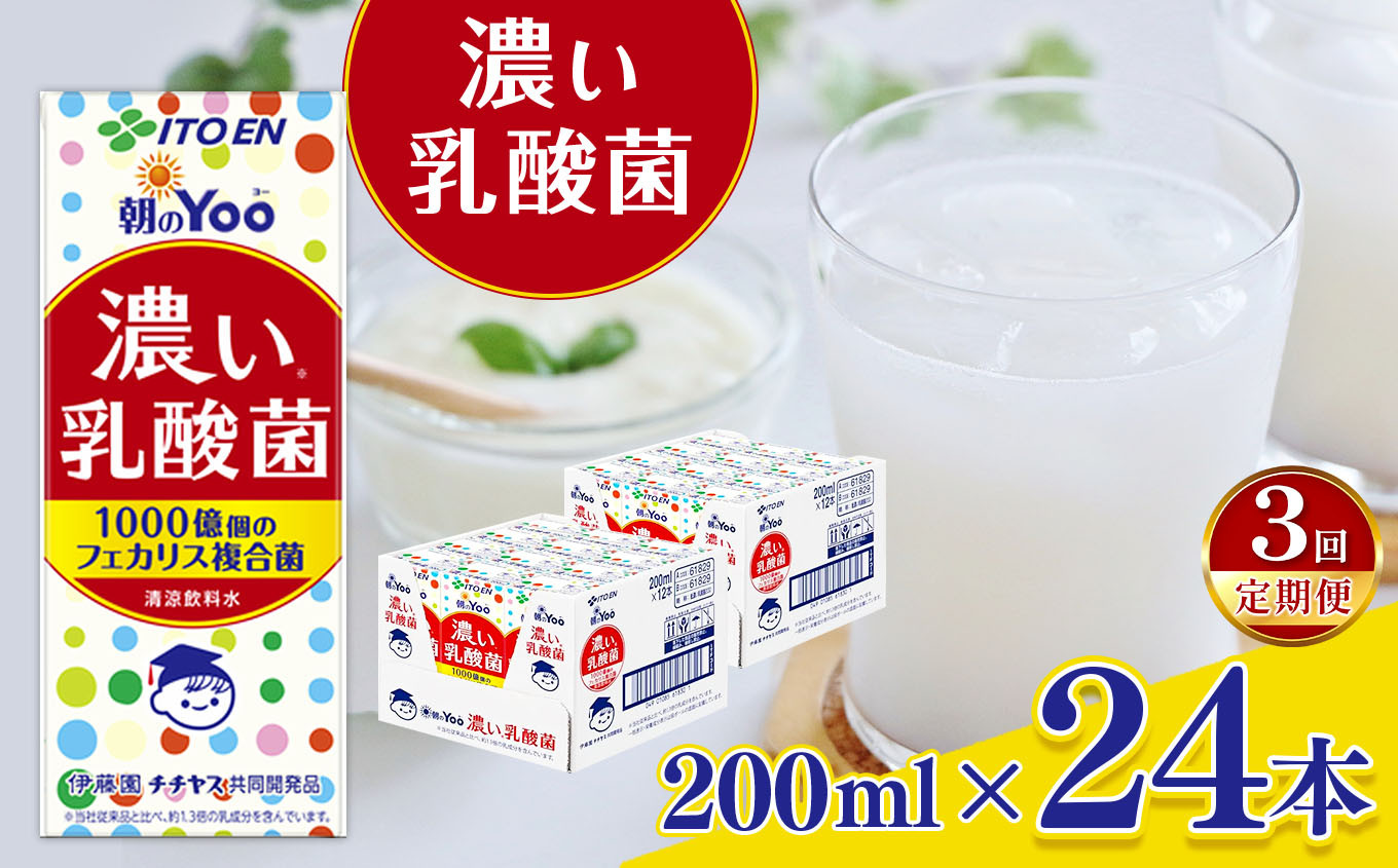 
            【定期便3回】朝のＹｏｏ濃い乳酸菌２００ml×２４本	 伊藤園   | 乳酸菌 ジュース ドリンク 飲料 健康 食品 長期常温可能 1ケース 長野県 松本市 ふるさと納税
          