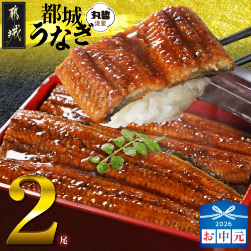 【お中元】宮崎県育ちのうなぎ蒲焼2尾300g以上≪山椒・たれ付≫_13-M301-SG