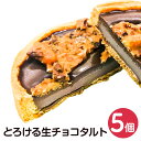 【ふるさと納税】とろける生チョコタルト 5個 生チョコ チョコ チョコレート タルト ナッツ キャラメリゼ サクサク スイーツ 菓子 洋菓子 個包装 冷凍 九州 熊本県 菊陽町 送料無料