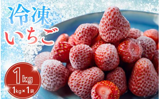 冷凍イチゴ1kg 【 いちご 果物 フルーツ 苺 イチゴ 冷凍 果物 フローズン くだもの 大容量 静岡県産 期間限定 】　<BD-1>
