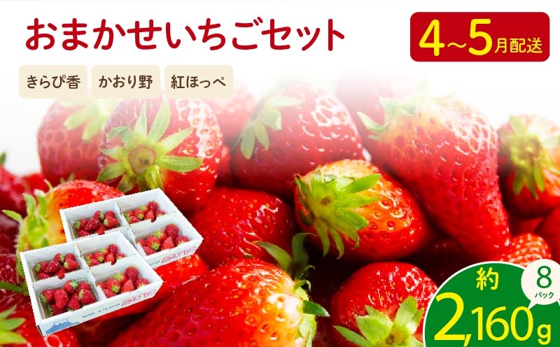 【先行予約 2026年04月より順次発送】 いちご 2kg 以上 おまかせ 苺 旬 産地 直送 フレッシュ イチゴ 紅ほっぺ きらぴ香 かおりの フルーツ 果物 国産 ジャパン ベリー オンライン決済限定 静岡県 藤枝市
