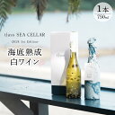 【ふるさと納税】tlass SEA CELLAR -2024 1st Edition- 海底熟成白ワイン 750ml×1本 | ワイン 白ワイン 辛口 お酒 アルコール 瓶 人気 奄美大島