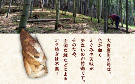 大多喜町平沢産　春の味覚「白筍」 W05403