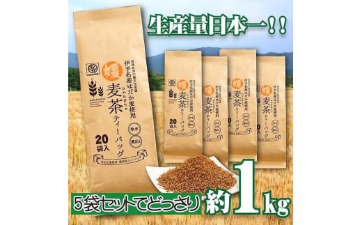 
＜生産者支援＞えひめ　はだか麦　媛麦茶　1kg分
