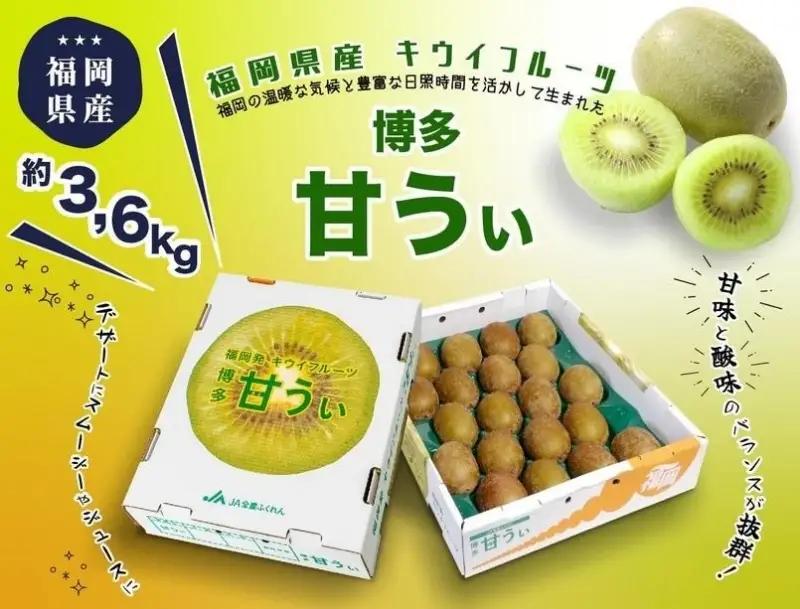 博多「甘うい」の贅沢果実　約3.6kg
