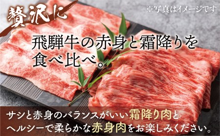 飛騨牛食べ比べスライス 各400g(計800g）牛肉 和牛 モモ カタ カタロース すき焼き赤身 霜降り しゃぶしゃぶ 贈り物 ギフト 飛騨市[Q1035]