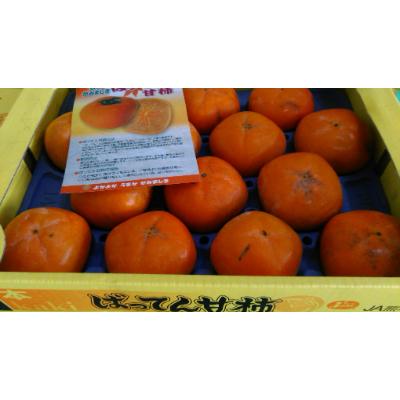 ふるさと納税 益城町 ばってん甘柿　訳あり　約3kg　8〜16玉入り×2箱
