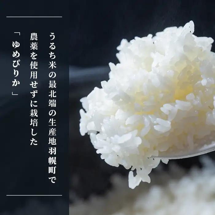 【2025年産】 北海道産 特別栽培米 ゆめぴりか 10kg（無化学肥料・農薬不使用）【2510202】