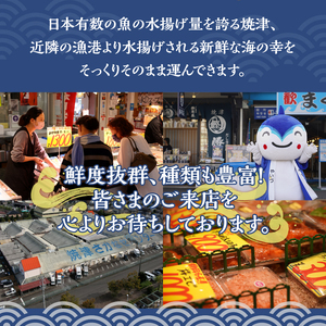 静岡県産うなぎ長焼 (a15-354)