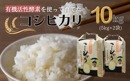 令和7年産 有機活性酵素を使用 新見産コシヒカリ 白米10kg(5kg×2袋)