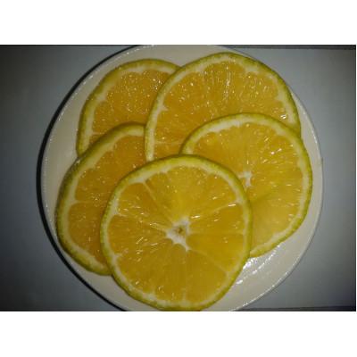 ふるさと納税 宇城市 先行予約 レモン 食べるレモンスイートレモネード 3kg |  | 01