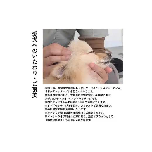 愛犬と癒しの旅　ナガラミリゾートSOSA ご宿泊利用券 6万円分 ／ 宿泊 宿泊券 リゾート ヴィラ ホテル 犬 ペット ドッグラン ドッグマッサージ 温泉 サウナ プール 旅行 リゾート旅