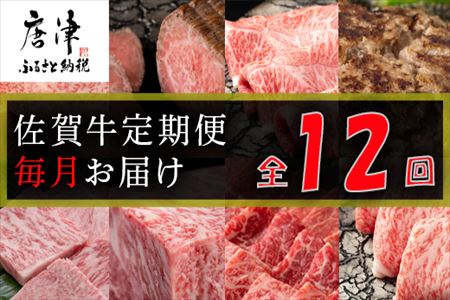 【定期便全12回】佐賀牛定期便「サーロイン(2回)・ローストビーフ(3回)・肩ロース・ハンバーグ(2回)・ロースブロック・カルビ(ロース)・カルビ(モモ)・しゃぶしゃぶ(ウデ)」 毎月発送いたします! ハンバーグ ステーキ