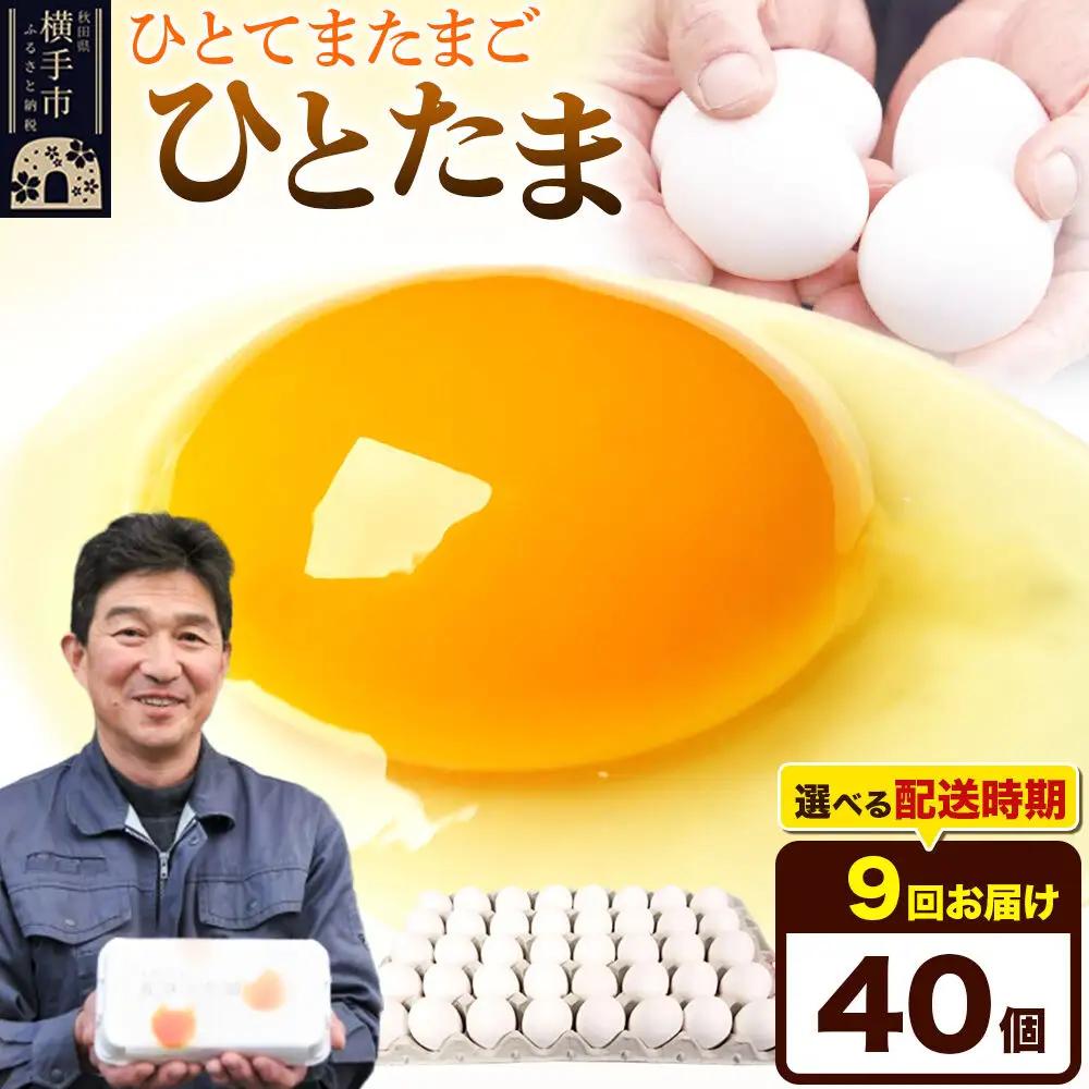 《定期便9ヶ月》ひとたま 40個（業務用）