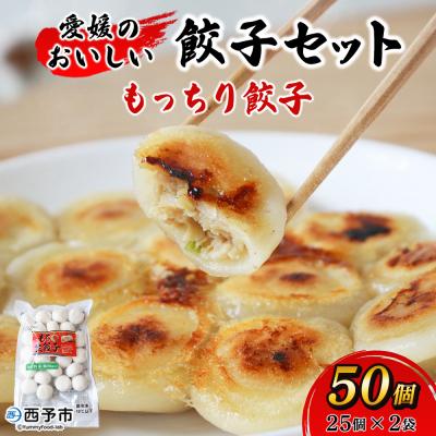 ふるさと納税 西予市 <愛媛のおいしい餃子セットもっちり餃子50個浅野食品>