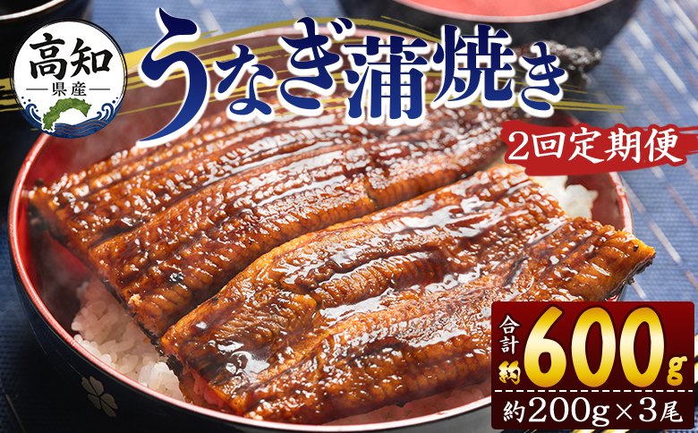 定期便 うなぎ 蒲焼き 約200g 3尾 2回 高知県産 養殖 魚介 国産 海鮮 魚 かばやき 鰻 ウナギ 惣菜 おかず お手軽 加工品 加工食品 冷凍 Wfb-0053