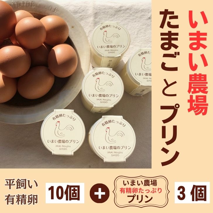 【ふるさと納税】平飼い 有精卵 10個 と プリン 3個　いまい農場　セット 国産 濃厚 卵 たまご 有精卵 デザート スイーツ スィーツ 贈り物 兵庫県 宍粟市 しそうし BQ2