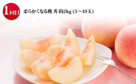 《2025年 先行予約》 山形の旬のおいしさ食べ比べ 山形の桃三昧 3回定期便 桃 果物 フルーツ  FSY-2049